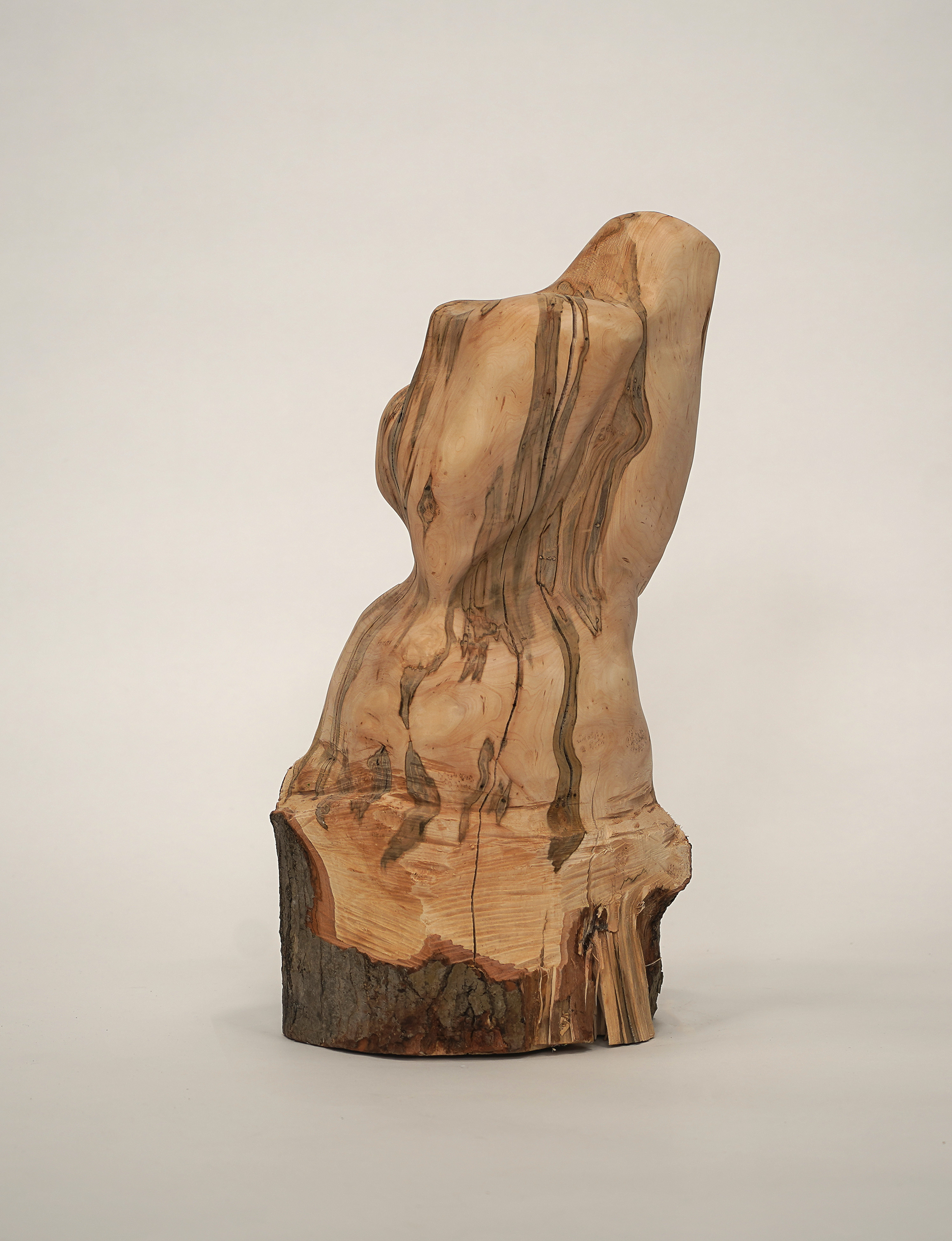 Gallery image 6