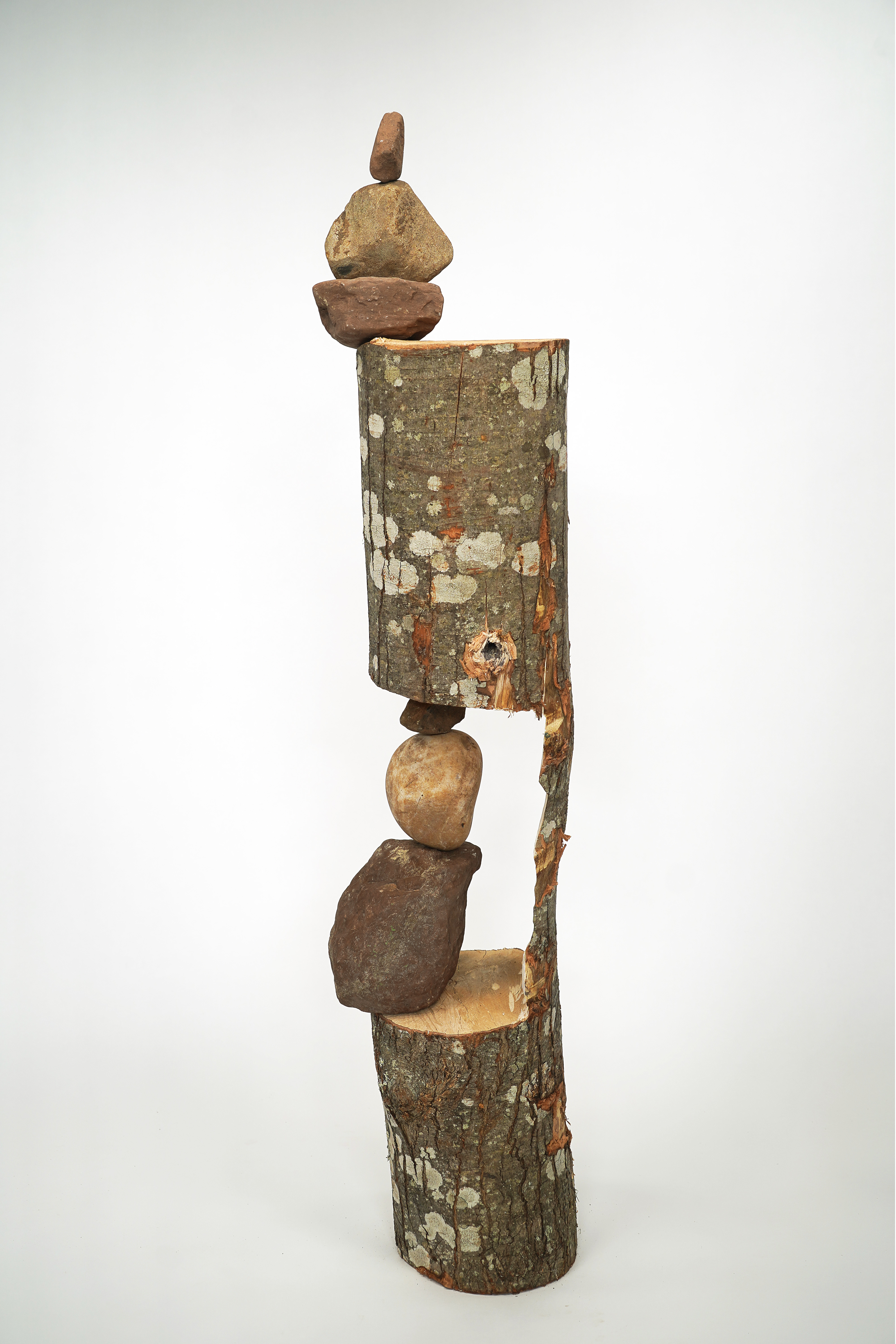 Gallery image 1